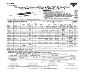 RS00510K20FE1269.pdf