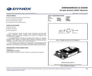 DIM600BSS12-E000.pdf