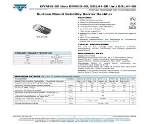 BYM13-20-E3/96.pdf