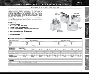 P6-384410.pdf