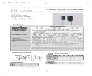 RM2A101MIM.pdf