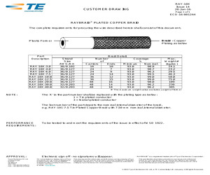 RAY-101-6.0(10).pdf