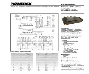 PM100RLA120.pdf