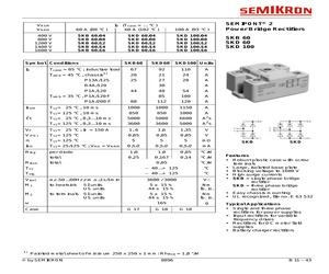 SKDL100/12.pdf