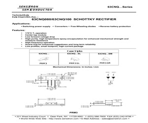 63CNQ100SM.pdf