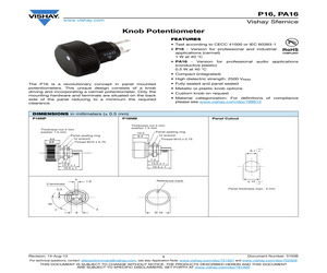 P16NP-100-10-A E3.pdf