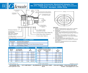 712HS416XM1109D.pdf