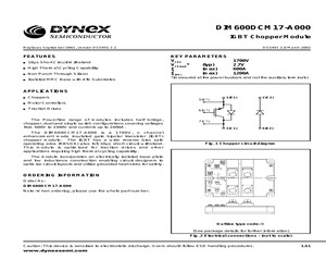 DIM600DCM17-A000.pdf