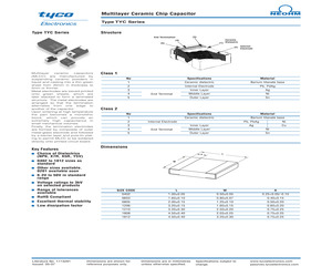 TYC0201A101JFT (2-1676849-9).pdf