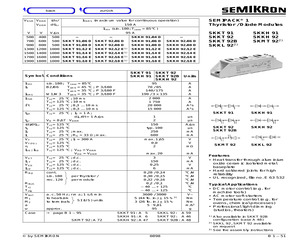 SKKH91.pdf