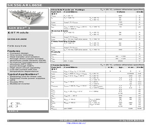 SK55GARL065E.pdf