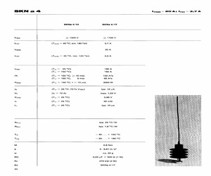 SKNA4.pdf