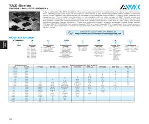 CWR09DB107JBBTR13.pdf