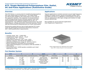 R75GI4100AA00K.pdf