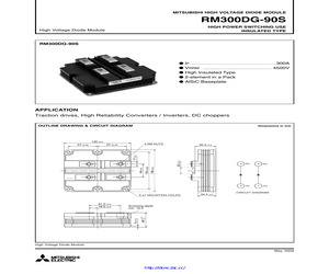 RM300DG-90S.pdf