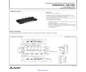 PM25CL1B120.pdf