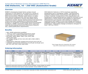 USB-C31-S-RA-CS1-BK-T/R.pdf