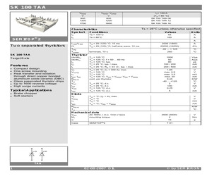 SK100TAA.pdf