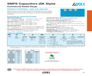 SK065C755MAR.pdf