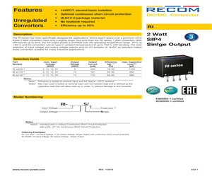 RI-0505S/P.pdf