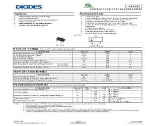 BAS21T-7.pdf