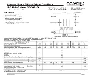 RS504-G.pdf