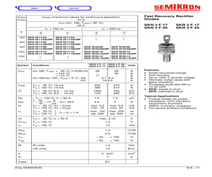 SKR2F17.pdf