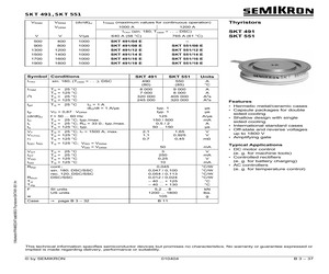 SKT491.pdf