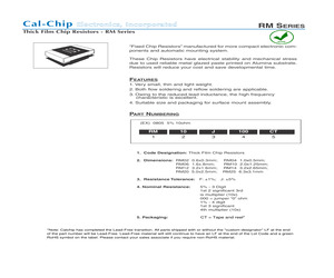 RM02F1100CT.pdf