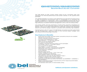 QM48T25050-PAA0.pdf