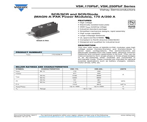 VSKT250-08.pdf