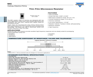 MIC1000AFLMGNHWS.pdf