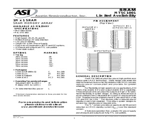 MT5C1001C-25/XT.pdf