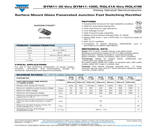 RGL41DHE3/96.pdf