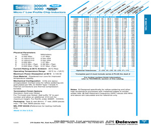 3090R-100FS.pdf