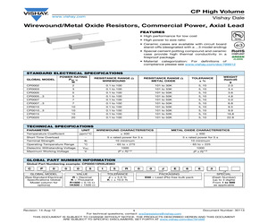 CP0010100R0JE14.pdf