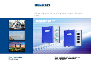 MIPP-10-010.pdf