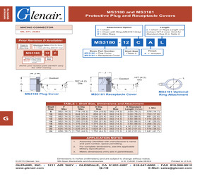 MS3181-10CAL.pdf