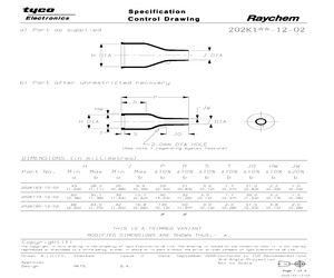 202K163-12-02-0.pdf