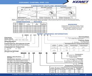 M123A10BPC180CZ.pdf