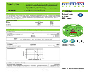 REDIM20.pdf