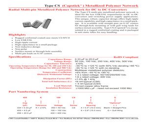 106K050CS4G.pdf