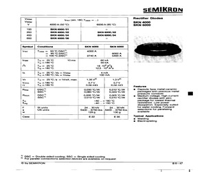 SKN4000/01.pdf