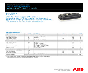 5SNG0250P330305.pdf