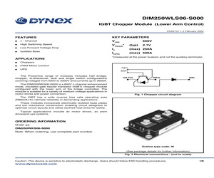 DIM250WLS06-S000.pdf