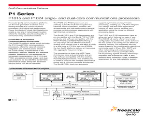 P1015NSN5DFB.pdf