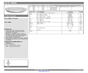 SKN6000/06.pdf