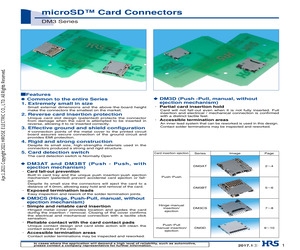 DM3BT-DSF-PEJS.pdf