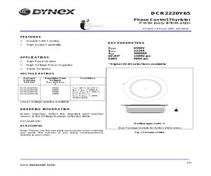 DCR2220Y65.pdf