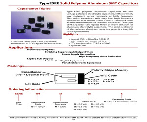 ESRE271M02R.pdf